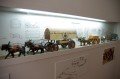 Miniaturen zeigen detailgetreu die Verwundetentransporte