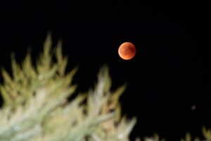 In der Nacht von Freitag auf Samstag (27./28. Juli) war die totale Mondfinsternis in Großpösna zu sehen.